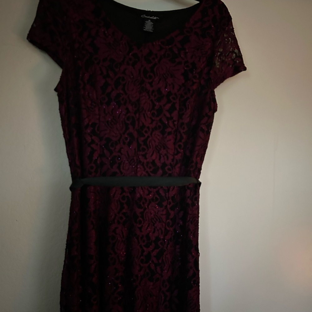 Charlotte Russe Deep Red Lace Mini Dress
